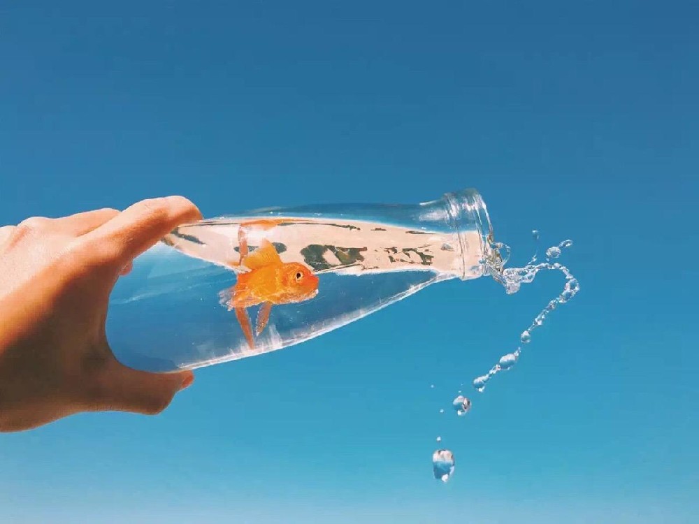 致自己心静的句子 让人心静的禅意语录